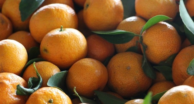 Конкурсная масса в процедуре банкротства физического лица Конкурсная масса в процедуре банкротства физического лица