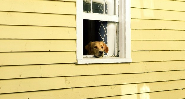 Залог: от основ до нюансов